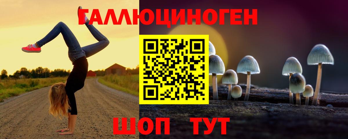 Дзержинский  Псилоцибиновые грибы Magic Shrooms  Вход с VPN 